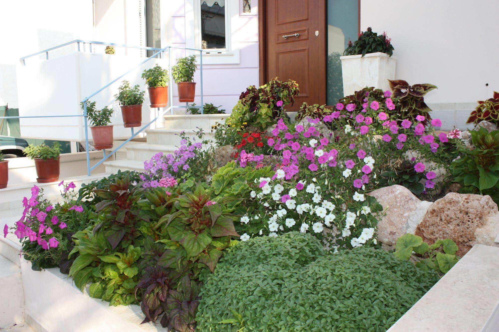 Veggie Garden Athens B&B Exterior foto