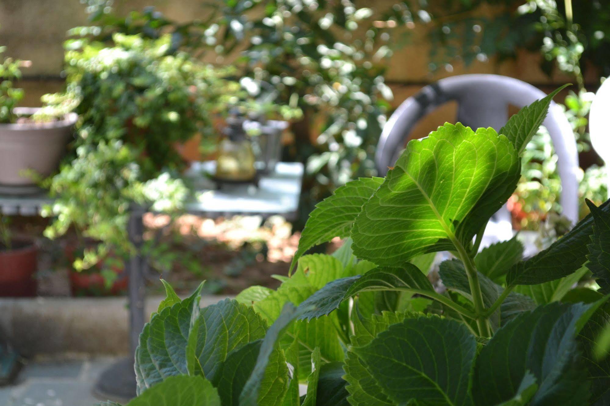 Veggie Garden Athens B&B Exterior foto